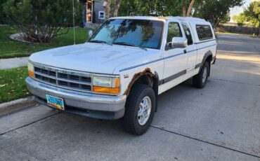 Dodge-dakota-1995-white-2