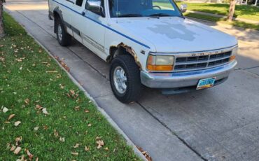 Dodge-dakota-1995-white