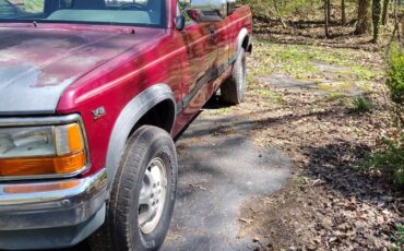 Dodge-dakota-4wd-ext.-cav-1995-2