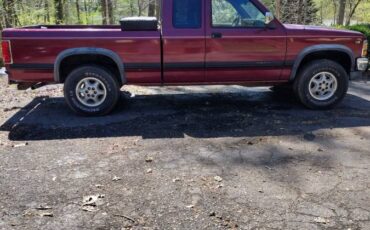 Dodge-dakota-4wd-ext.-cav-1995