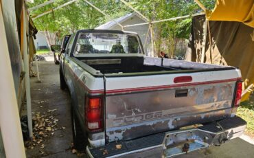 Dodge-dakota-4x4-1995-white-3