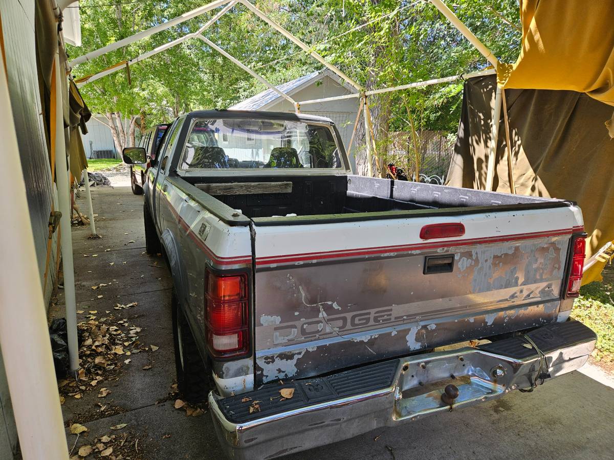 Dodge-dakota-4x4-1995-white-3