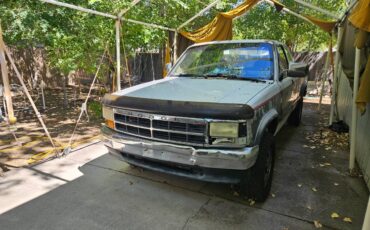 Dodge-dakota-4x4-1995-white