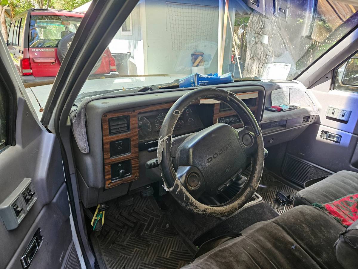 Dodge-dakota-4x4-1995-white-4