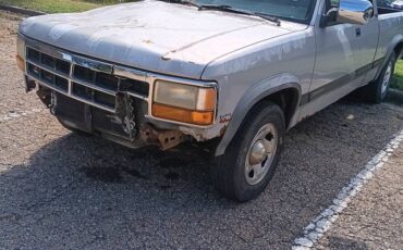 Dodge-dakota-slt-1995-grey