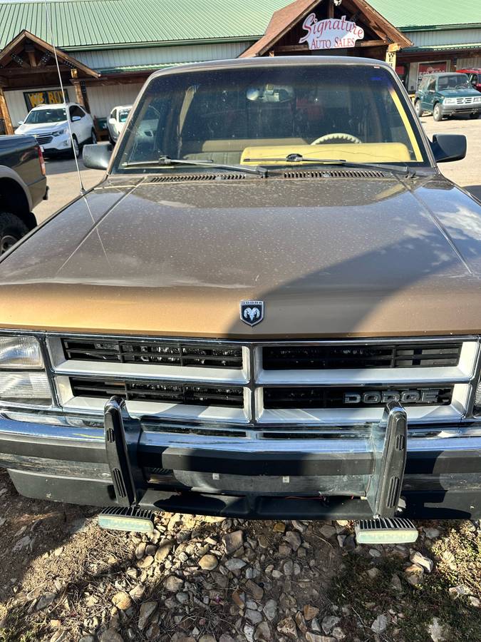 Dodge-dam-1989-brown-1