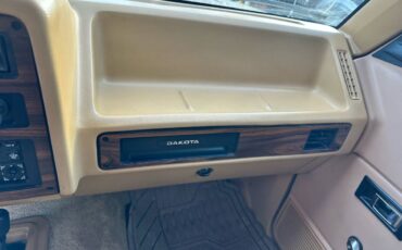 Dodge-dam-1989-brown-10