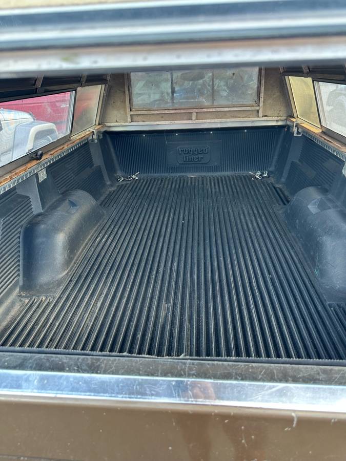 Dodge-dam-1989-brown-13