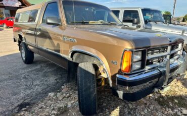 Dodge-dam-1989-brown-2