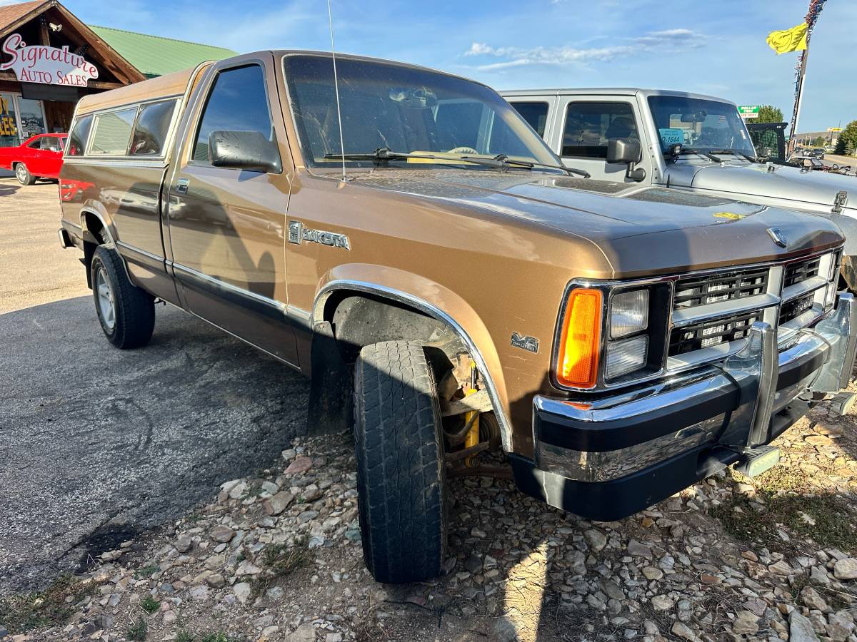 Dodge-dam-1989-brown-2