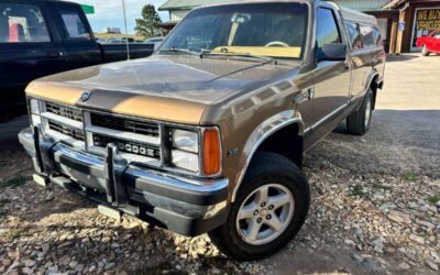 Dodge dam 1989