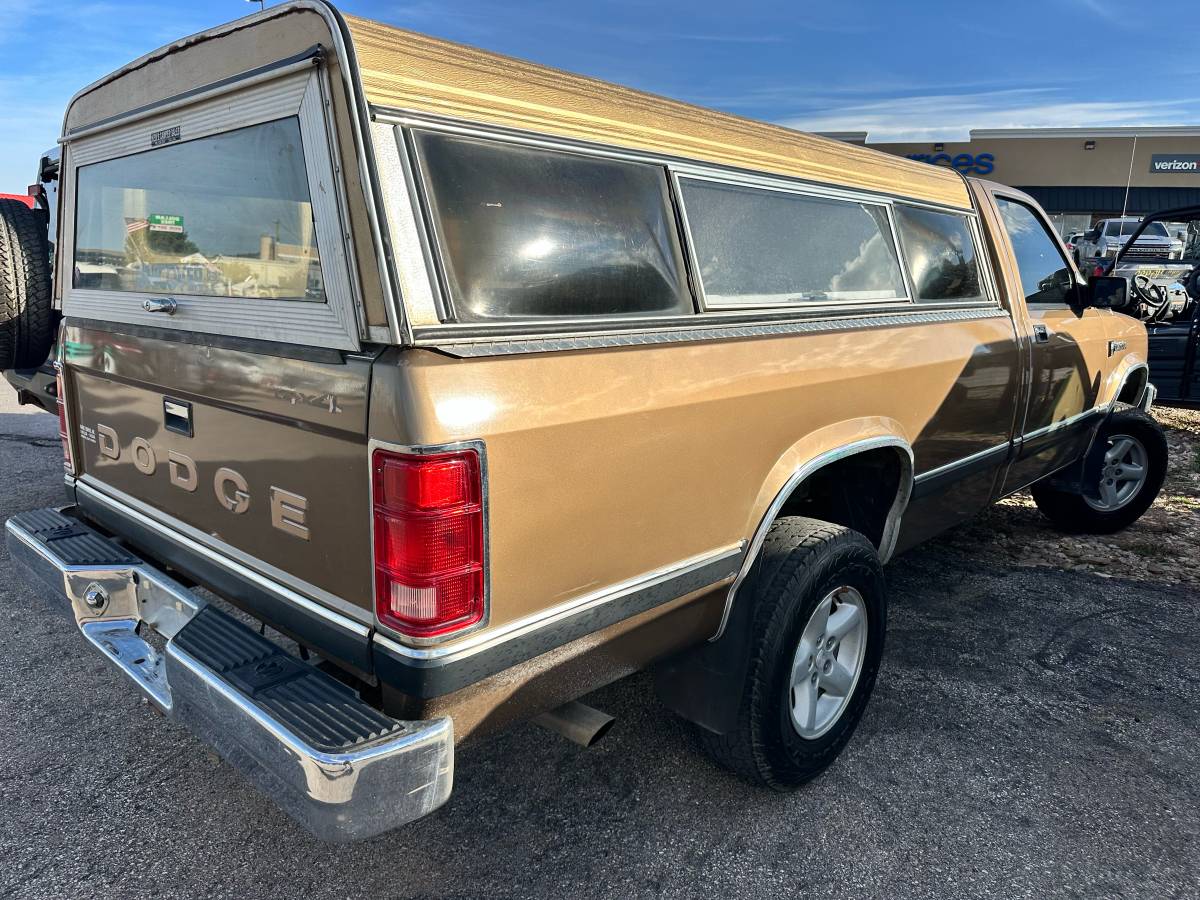 Dodge-dam-1989-brown-5