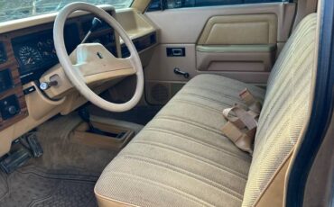 Dodge-dam-1989-brown-6