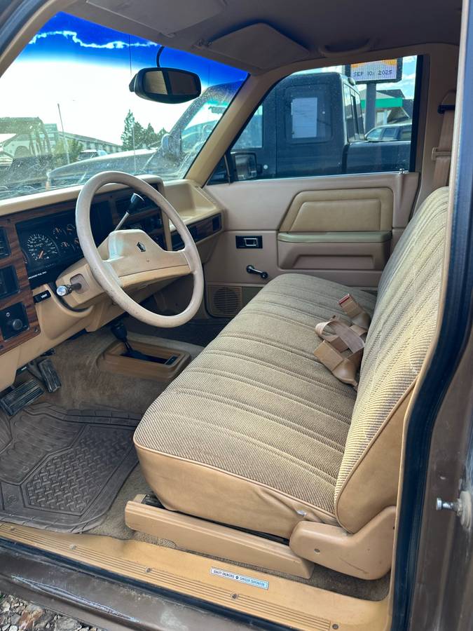 Dodge-dam-1989-brown-6