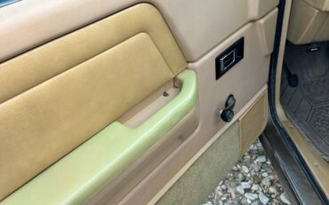 Dodge-dam-1989-brown-7