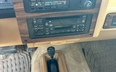 Dodge-dam-1989-brown-9