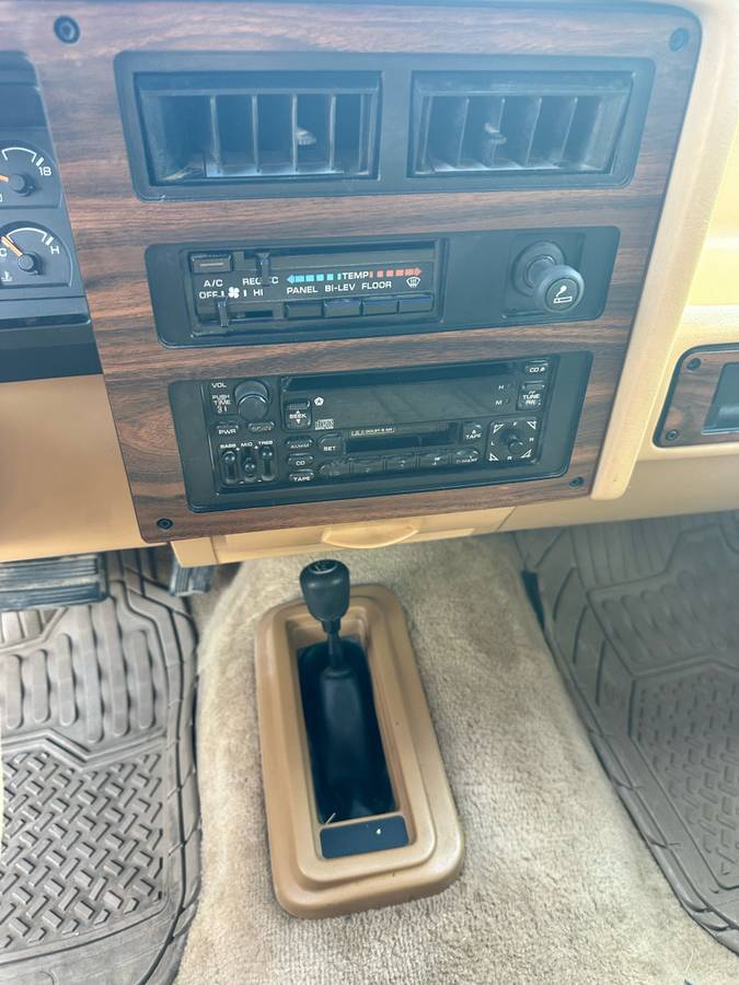 Dodge-dam-1989-brown-9