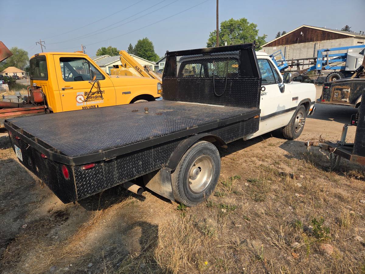 Dodge-diesel-1991-white-5