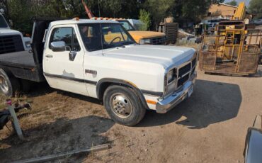 Dodge-diesel-1991-white-6