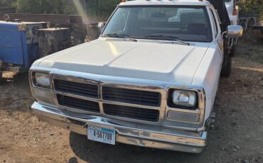 Dodge-diesel-1991-white-7