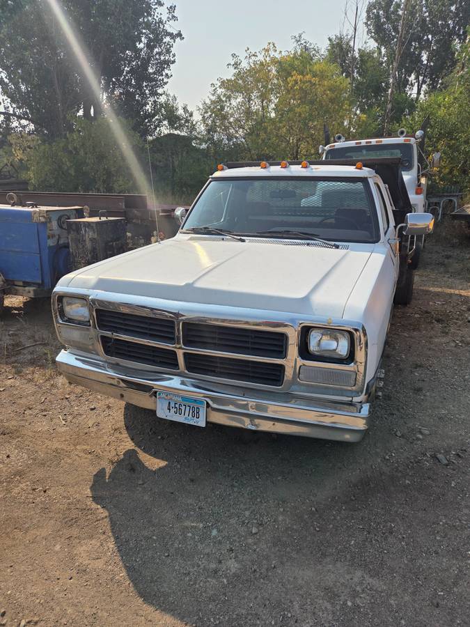 Dodge-diesel-1991-white-7
