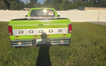 Dodge-diesel-1993-green