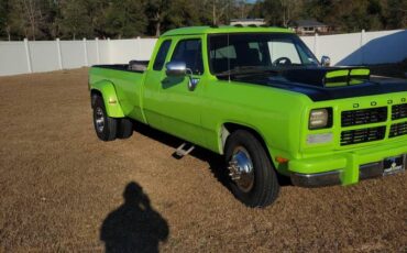 Dodge-diesel-1993-green-5