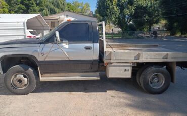 Dodge-diesel-1994-grey-1