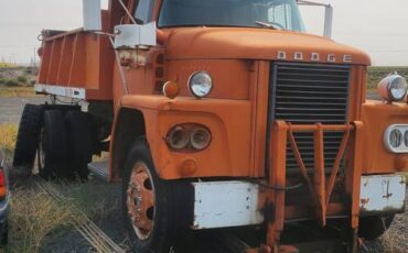 Dodge-dump-truck-1962-orange-1