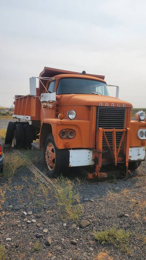 Dodge-dump-truck-1962-orange-1