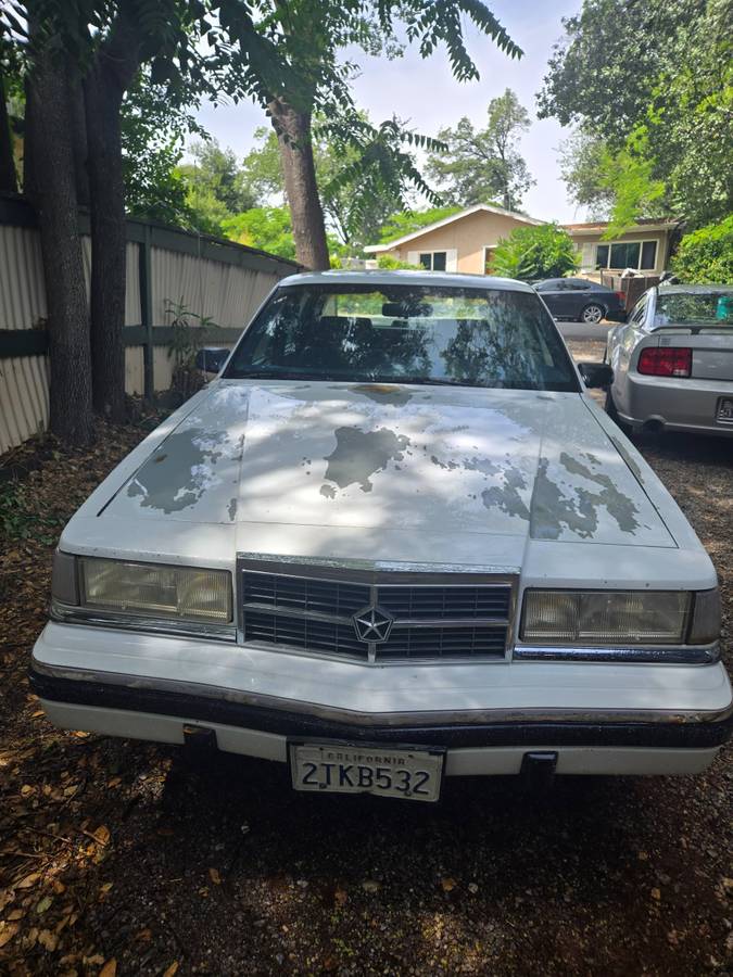 Dodge-dynasty-1990-white-8