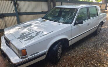Dodge-dynasty-1990-white-9