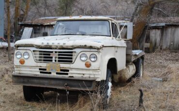 Dodge-flat-bed-1963-yellow-1