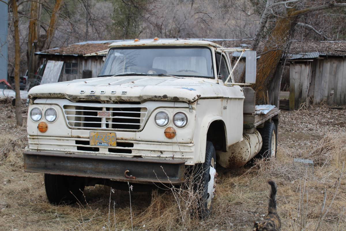 Dodge-flat-bed-1963-yellow-1