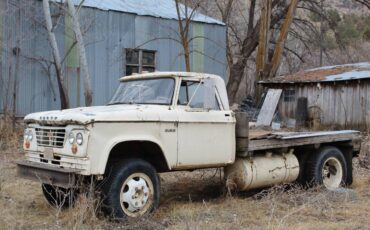 Dodge-flat-bed-1963-yellow-2