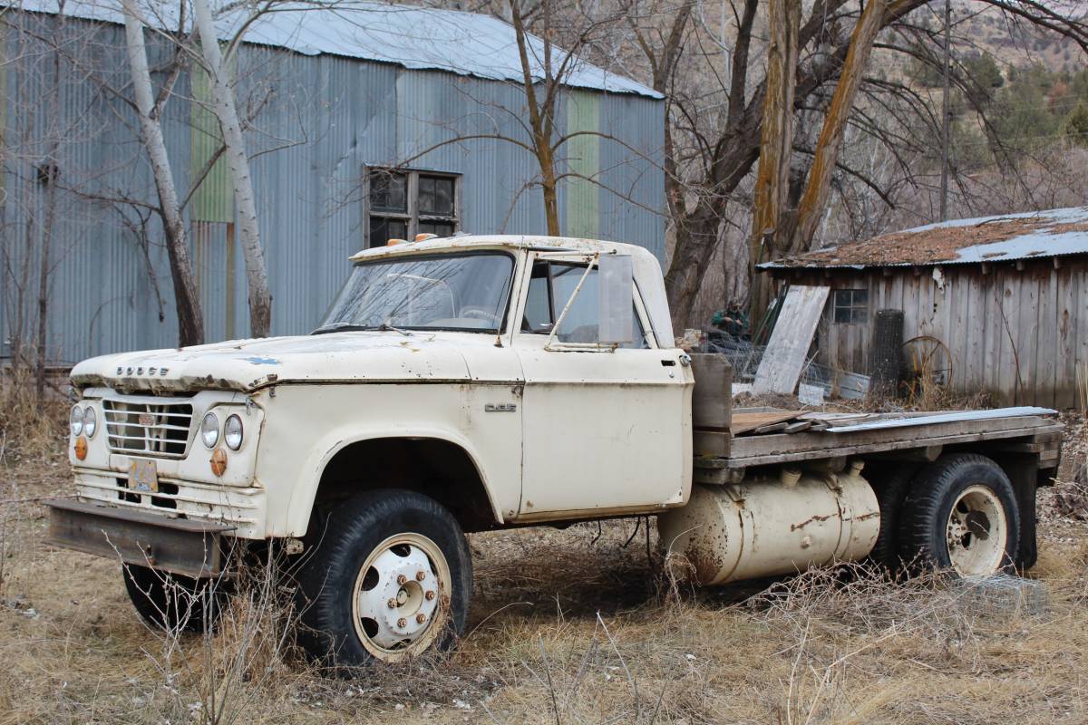 Dodge-flat-bed-1963-yellow-2