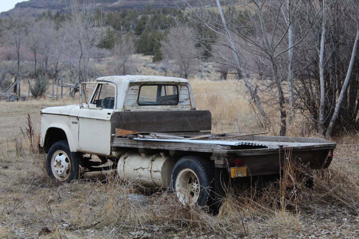 Dodge-flat-bed-1963-yellow