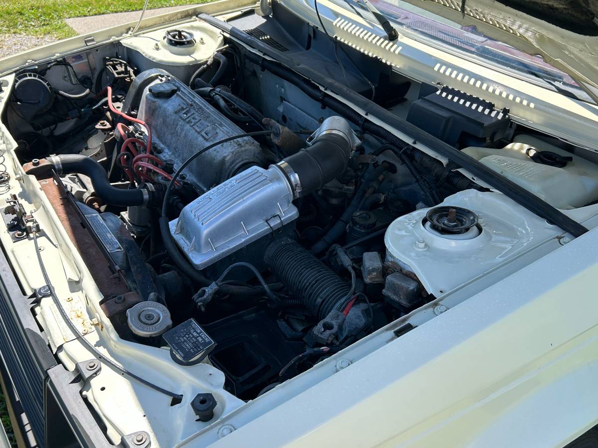 Dodge-omni-glh-1985-5