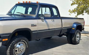 Dodge-other-pickups-w350-5.9l-4x4-12-valve-cummins-1993-blue-22