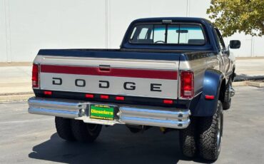 Dodge-other-pickups-w350-5.9l-4x4-12-valve-cummins-1993-blue-23