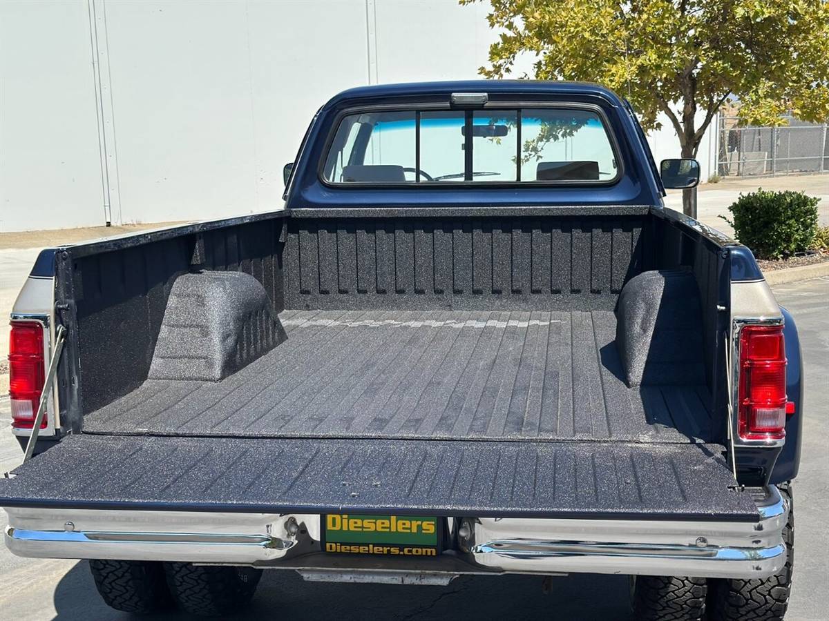 Dodge-other-pickups-w350-5.9l-4x4-12-valve-cummins-1993-blue-31