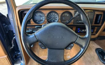 Dodge-other-pickups-w350-5.9l-4x4-12-valve-cummins-1993-blue-43