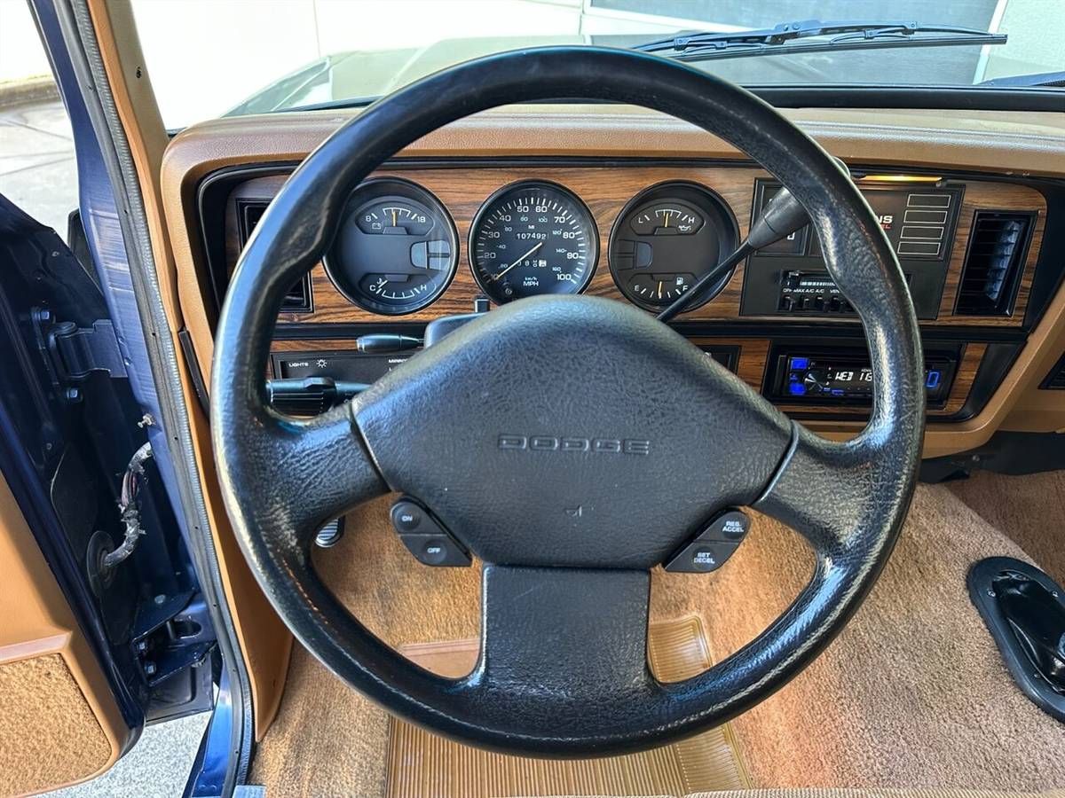 Dodge-other-pickups-w350-5.9l-4x4-12-valve-cummins-1993-blue-43