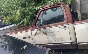 Dodge-pick-up-d20-prospector-1984-white-1