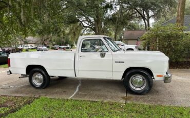 Dodge-ram-d250-1991-11