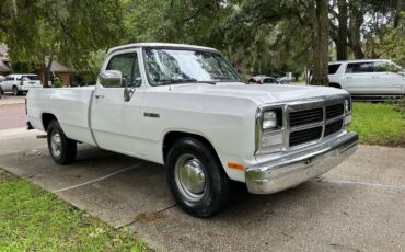 Dodge-ram-d250-1991-5