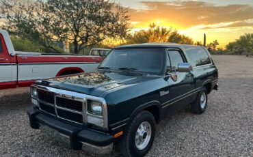 Dodge-ramcharger-1993-green-20