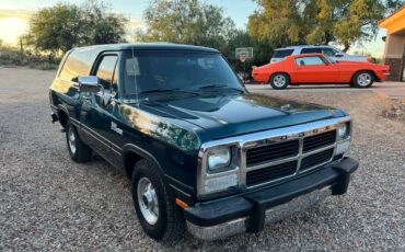 Dodge-ramcharger-1993-green-21
