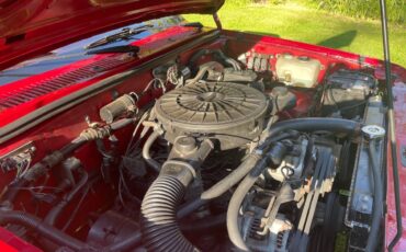 Dodge-shelby-dakota-1989-red-11