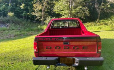 Dodge-shelby-dakota-1989-red-2